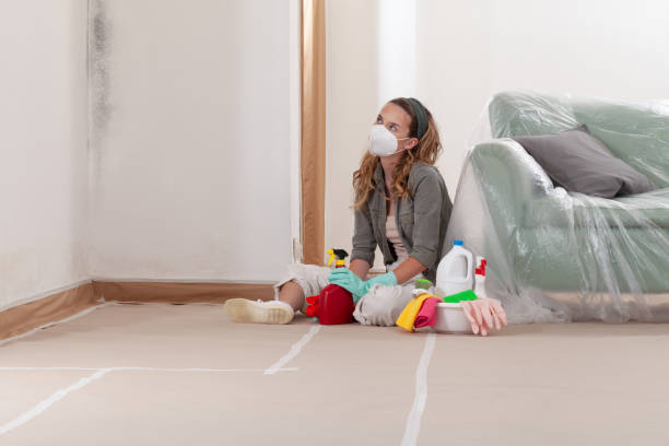 Reliable Black Mold Remediation contractor in Deerfield, IL by Mold Remediation HQ